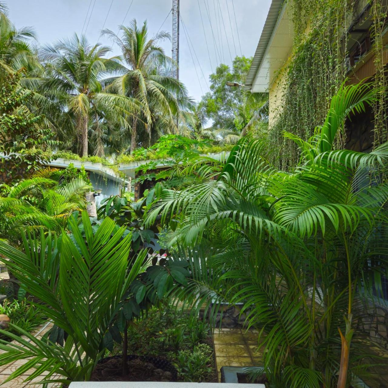 Homestay Bao Binh Ben Tre المظهر الخارجي الصورة