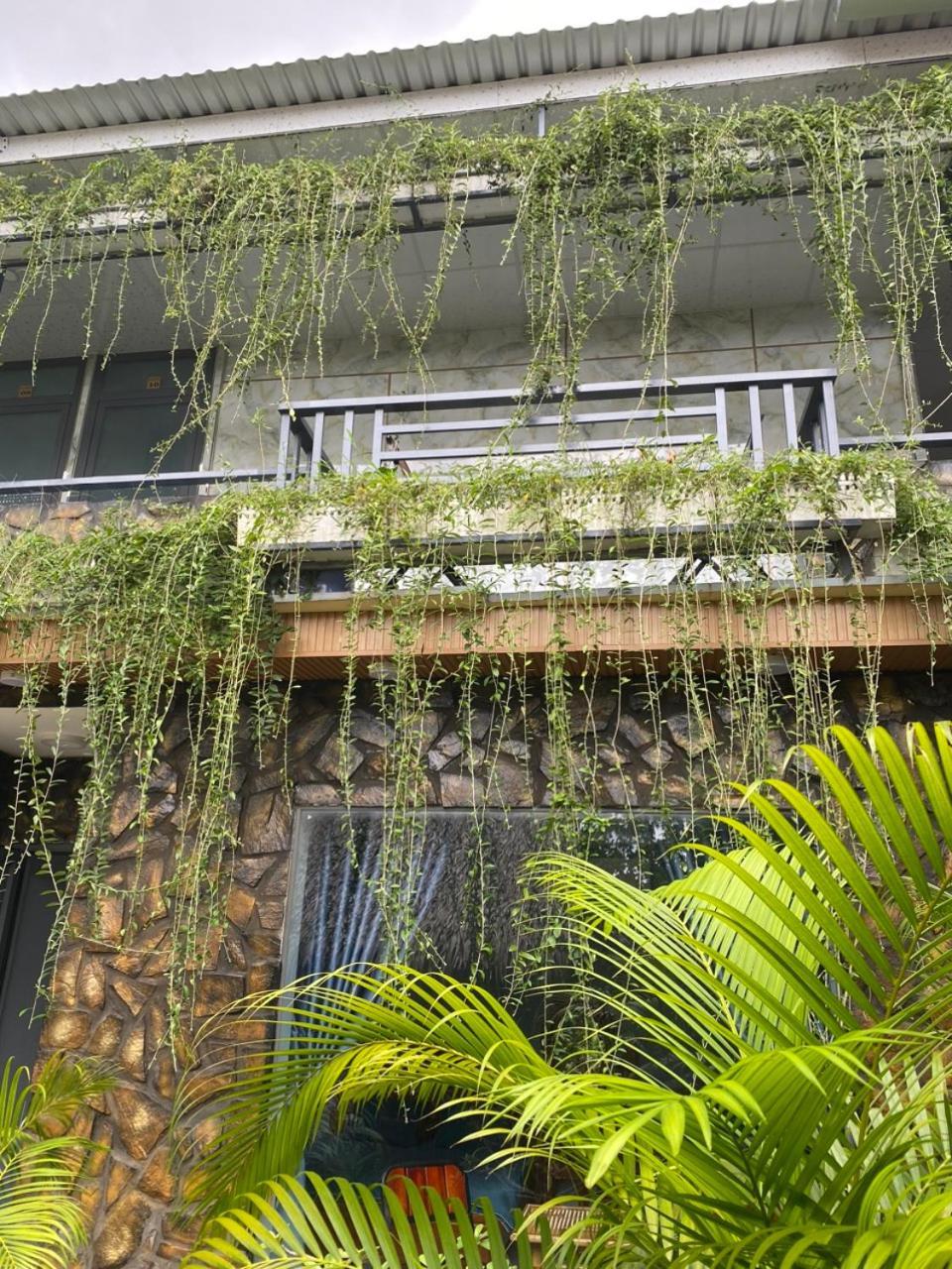Homestay Bao Binh Ben Tre المظهر الخارجي الصورة